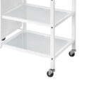 CARRELLO MERCURIO - immagine 4