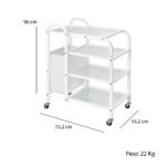 CARRELLO MERCURIO - immagine 5