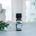 <p>Essenza aromatica eucalipto</p>