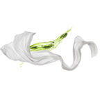 <strong>BENDA SLIM CELL<br /></strong>Confezione 2 pz<br /><br />Ideale per contrastare gli inestetismi dovuti alla cellulite nei vari stadi e/o adiposità localizzate<br /><br /><strong>DESCRIZIONE DEL PRODOTTO:</strong><br />Bende monouso imbibite di morbido gel. A base di Fosfatildilcolina